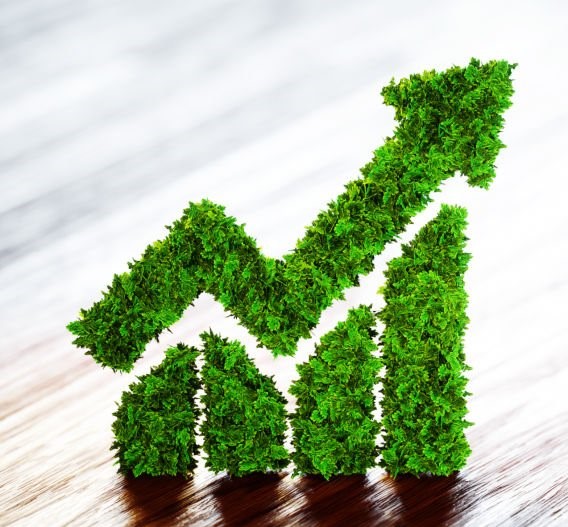 Graphique d'optimisation des rendements agricoles